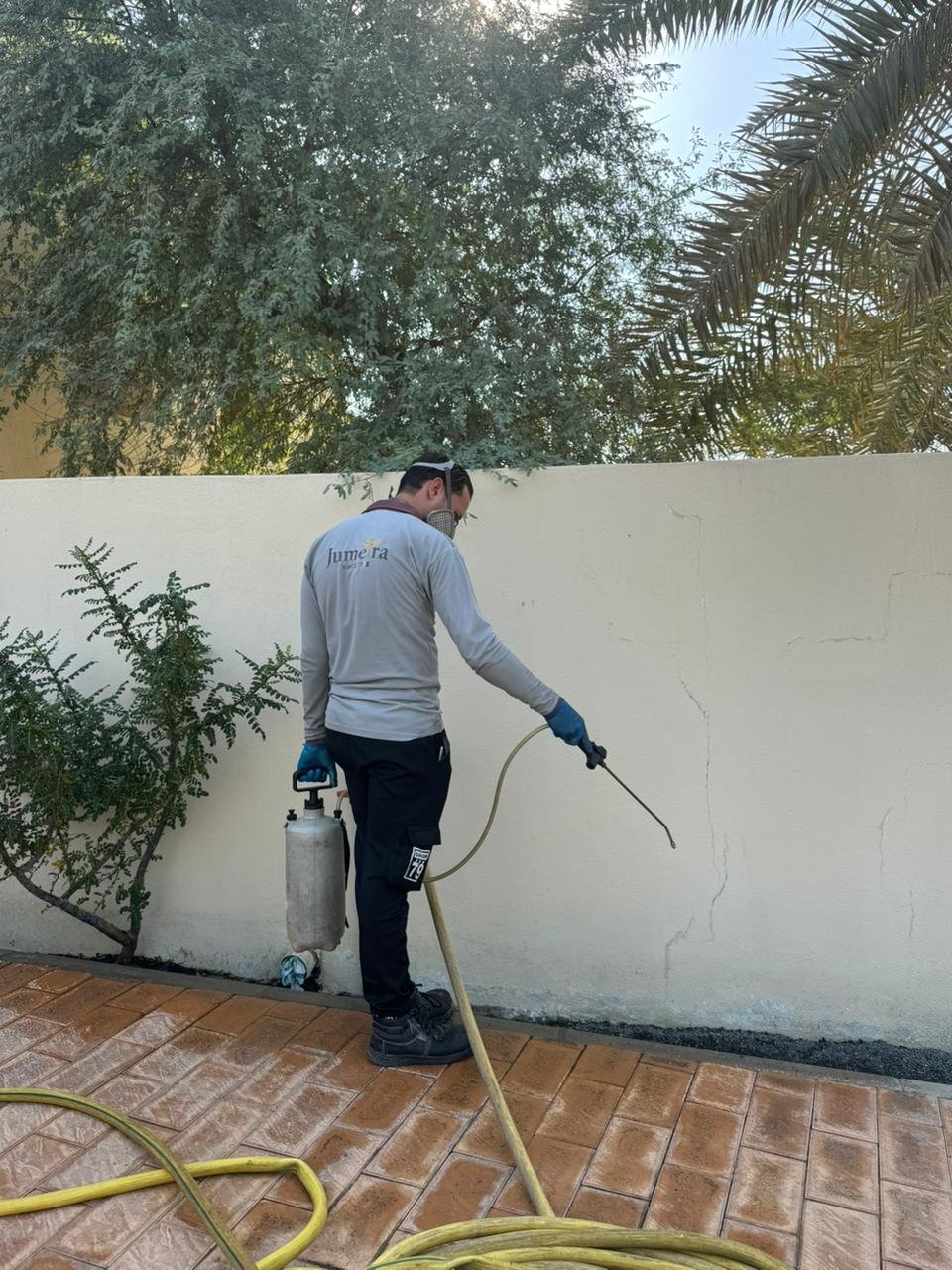 WhatsApp Image 2025-11-11 at 19.05.16_969b4b7b