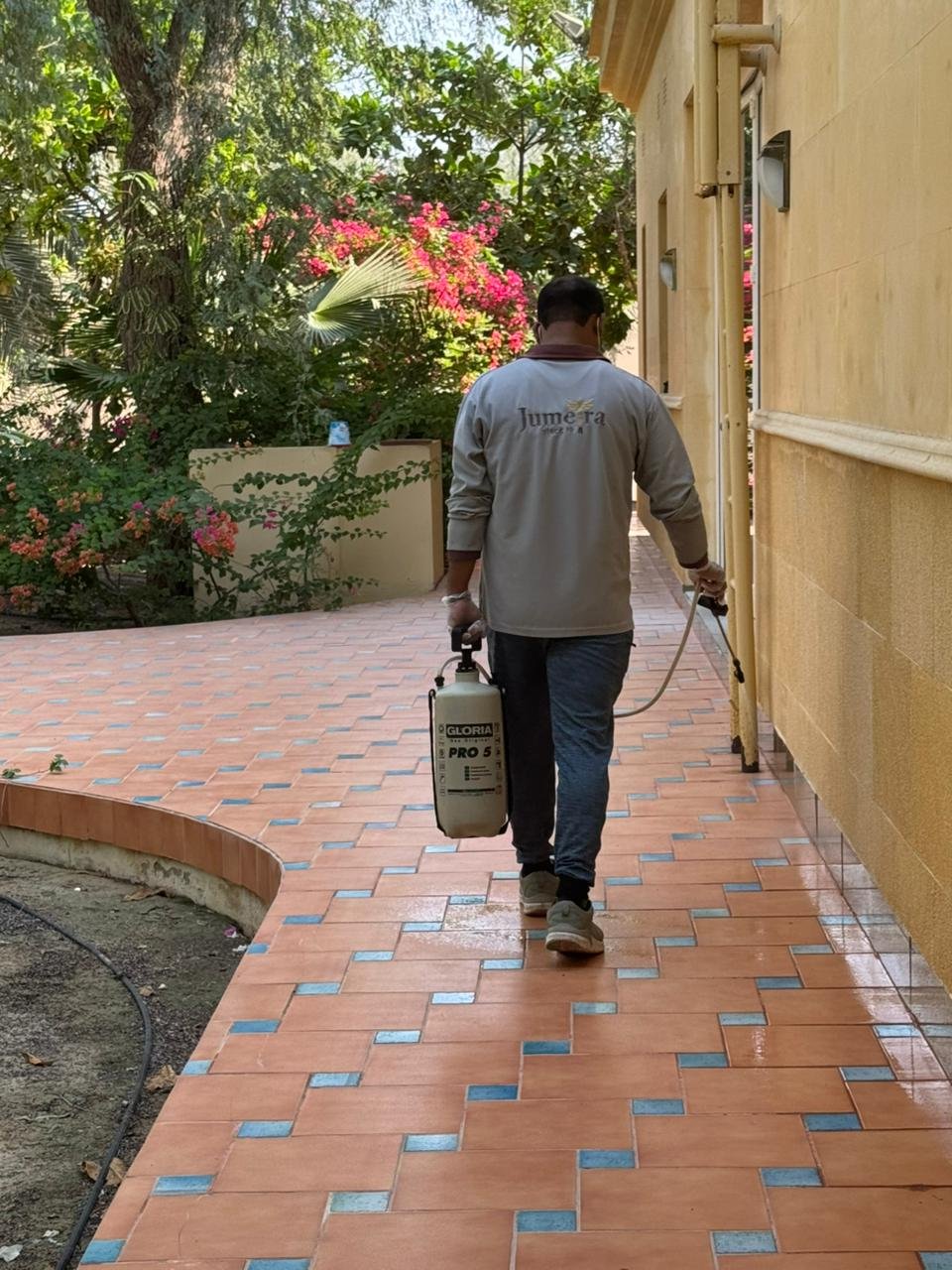 WhatsApp Image 2025-11-11 at 19.05.20_4d8c142f